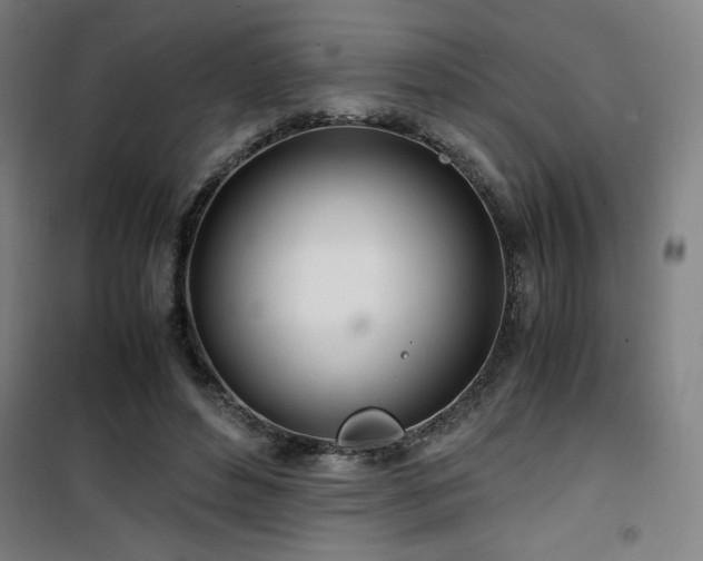 X0000101660496200807101257