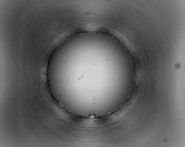 X0000101660497200807101257