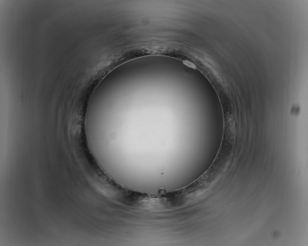 X0000101660499200807101257