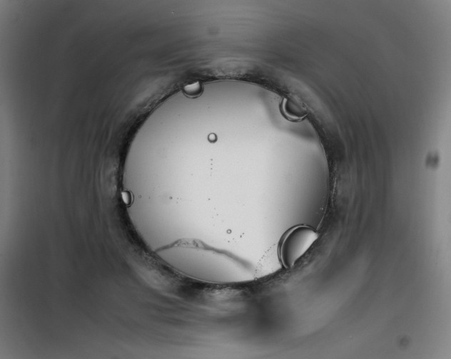 X0000101660501200807101257