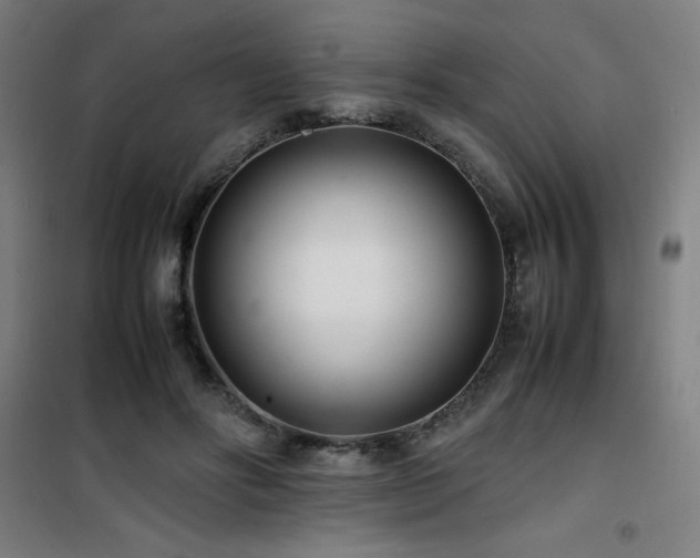 X0000101660502200807101257