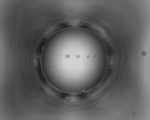 X0000101660503200807101257