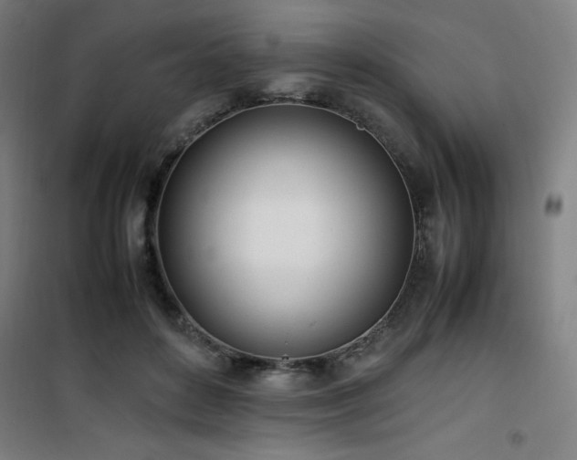 X0000101660504200807101257