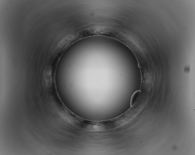 X0000101660506200807101257