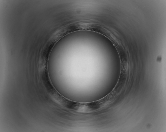 X0000101660507200807101257