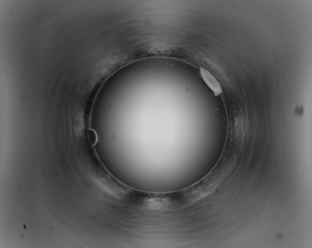 X0000101660508200807101257