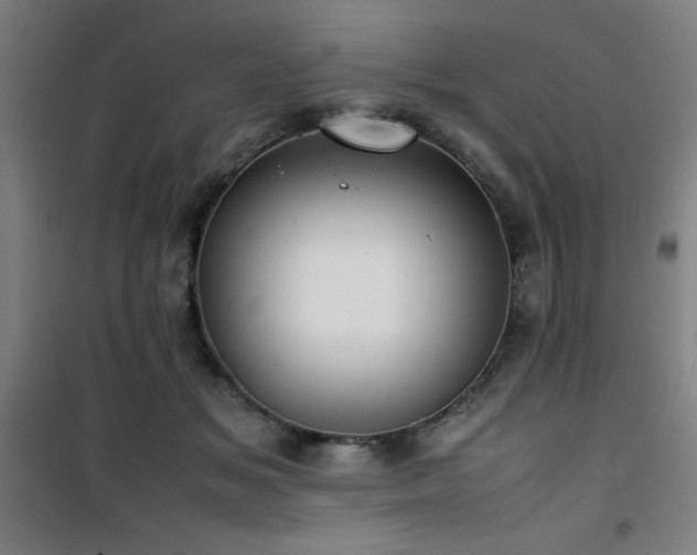 X0000101660509200807101257