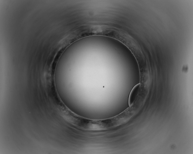 X0000101660510200807101257