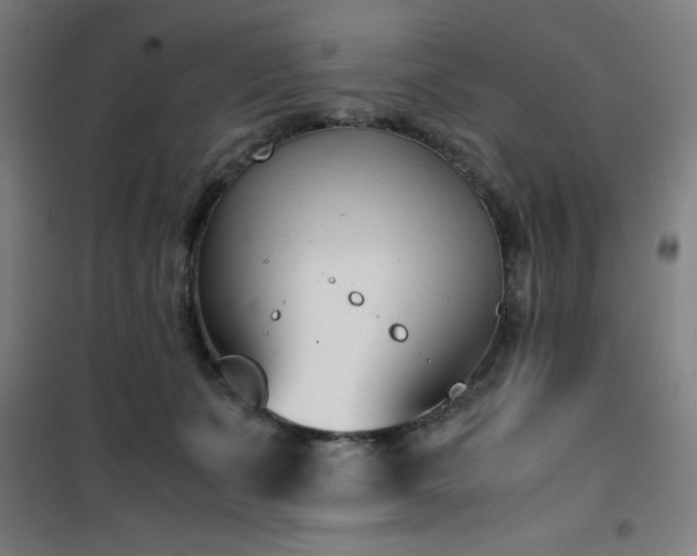 X0000101660511200807101257