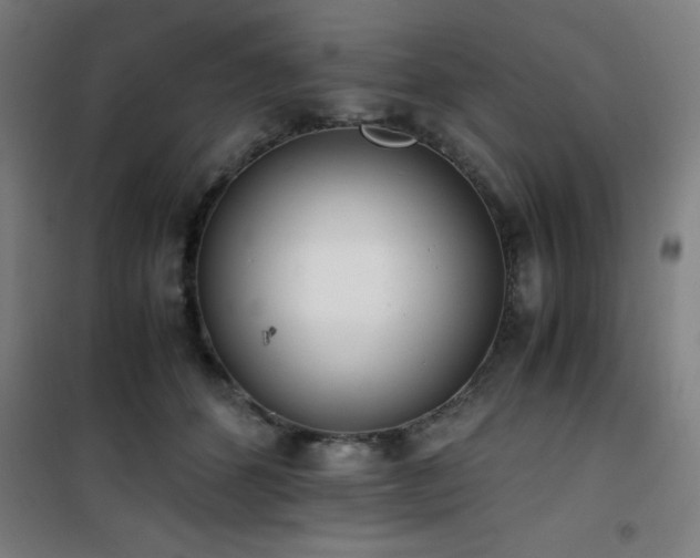 X0000101660512200807101257