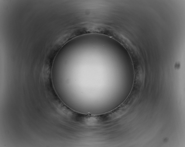 X0000101660513200807101257