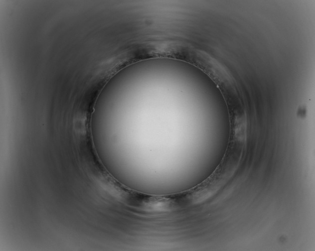 X0000101660514200807101257