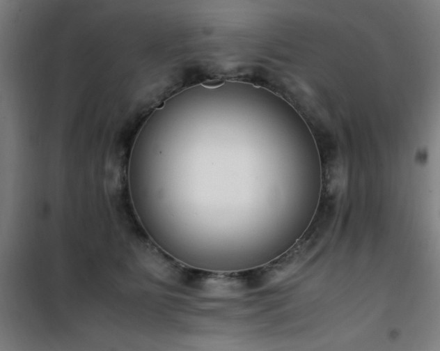 X0000101660515200807101257