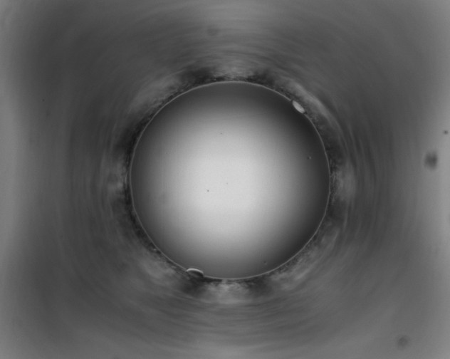 X0000101660517200807101257