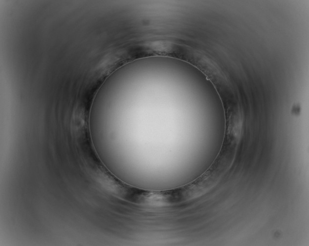 X0000101660518200807101257