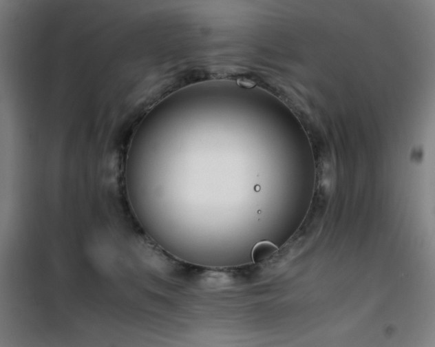 X0000101660519200807101257