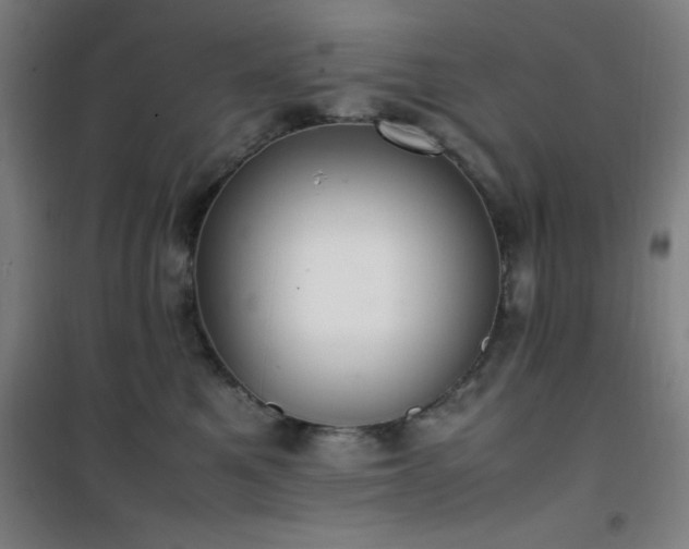 X0000101660521200807101257