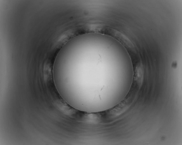 X0000101660522200807101257