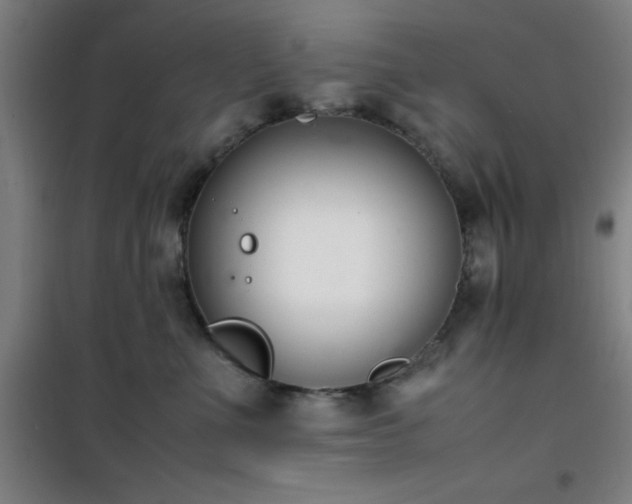 X0000101660523200807101257