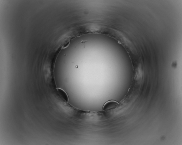 X0000101660524200807101257