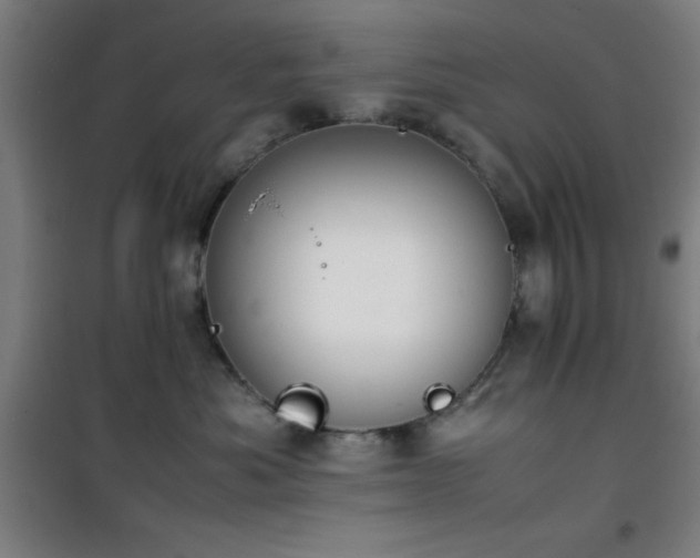 X0000101660525200807101257