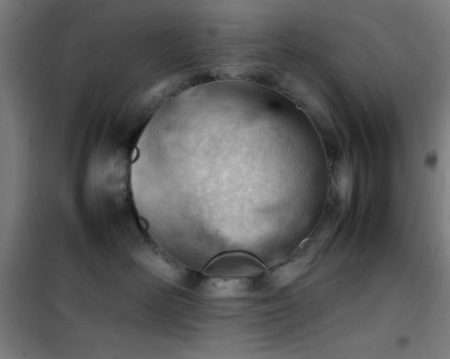 X0000101660526200807101257