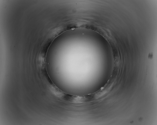 X0000101660527200807101257