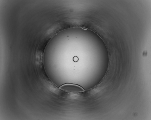 X0000101660528200807101257