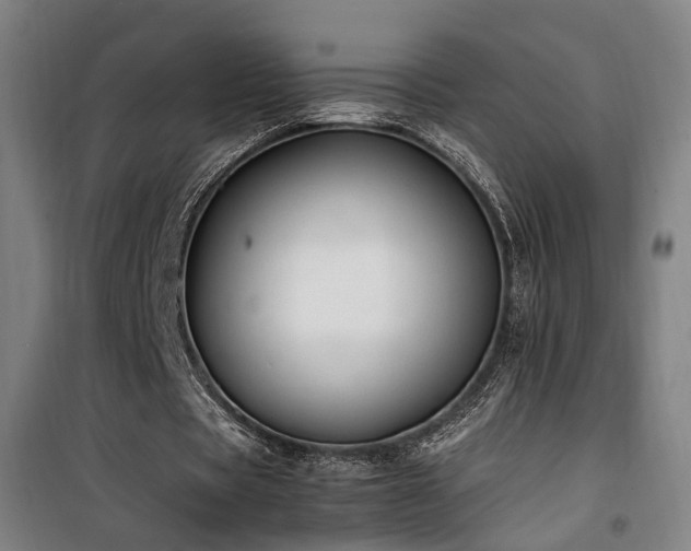 X0000101660529200807101256