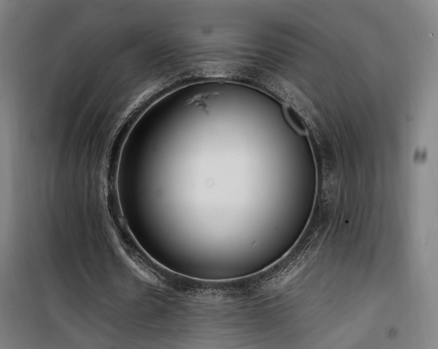 X0000101660530200807101256