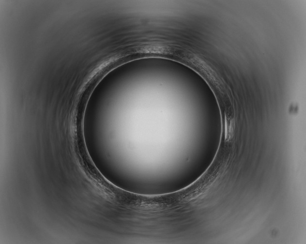 X0000101660531200807101256