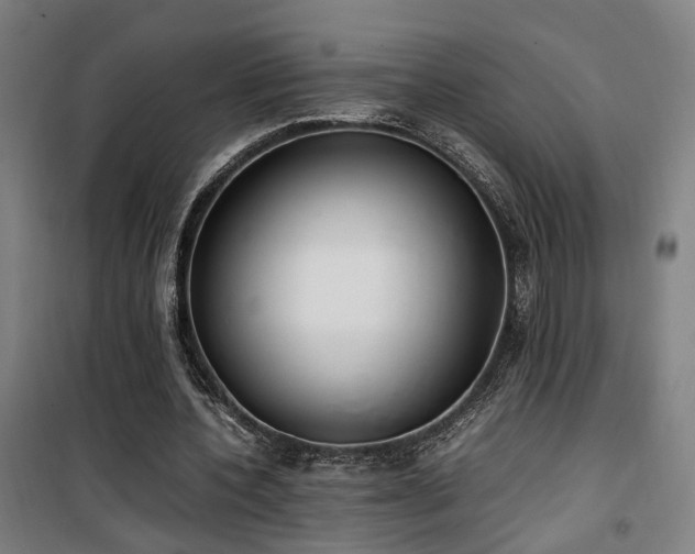 X0000101660532200807101256