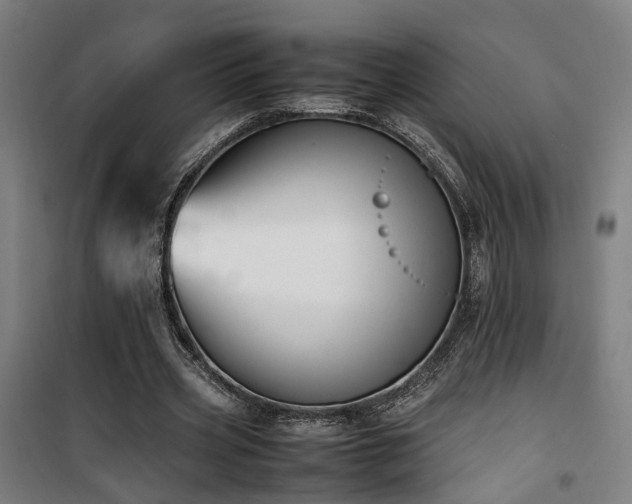 X0000101660533200807101256