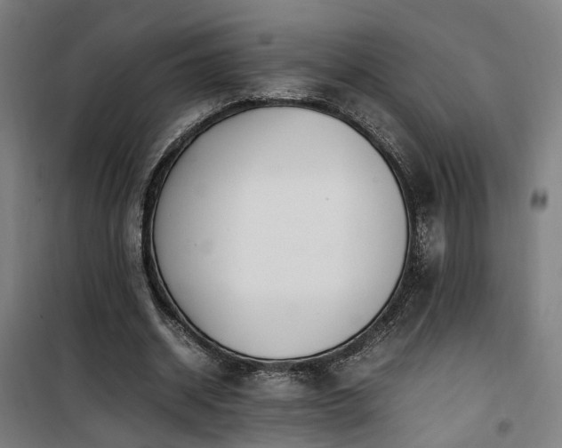 X0000101660534200807101256