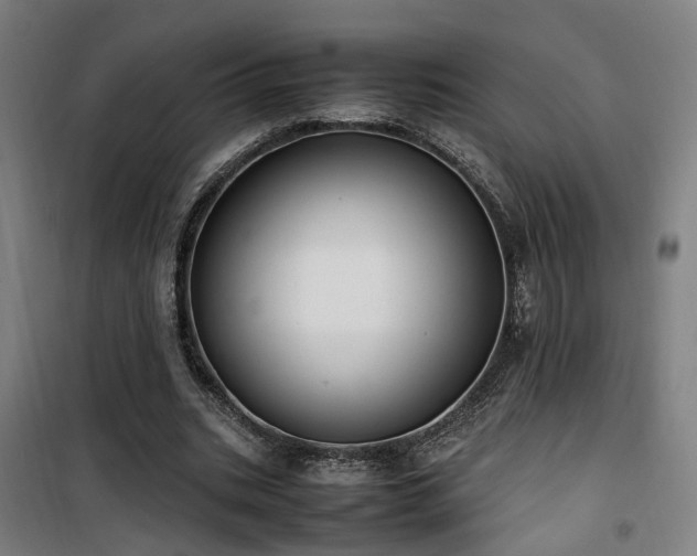 X0000101660535200807101256