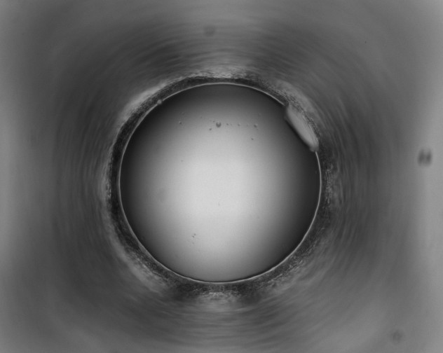 X0000101660536200807101256