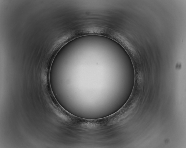 X0000101660537200807101256