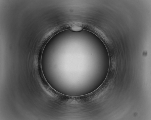 X0000101660538200807101256