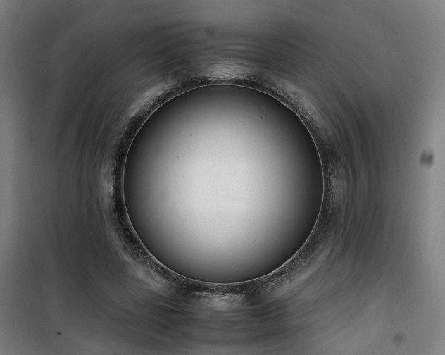 X0000101660539200807101256