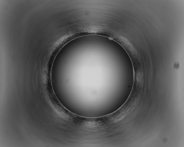 X0000101660540200807101256