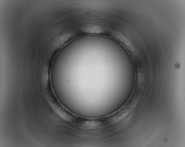 X0000101660541200807101256