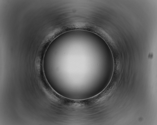 X0000101660542200807101256