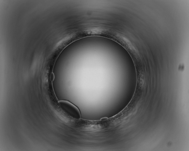 X0000101660543200807101256