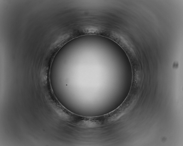 X0000101660545200807101256