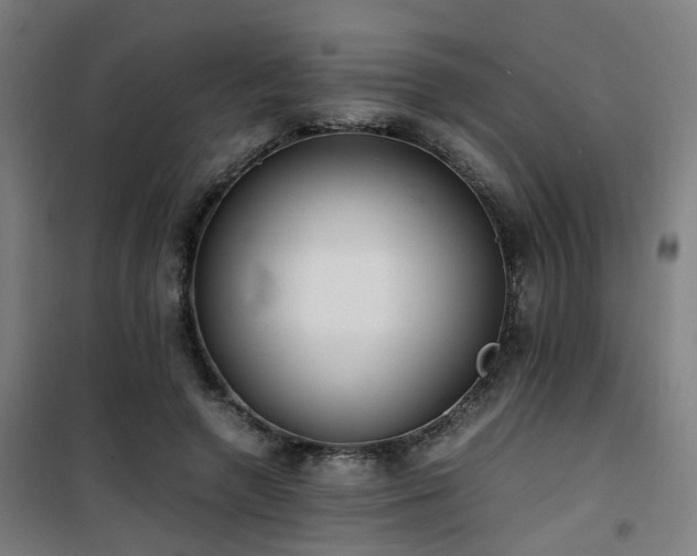 X0000101660546200807101256