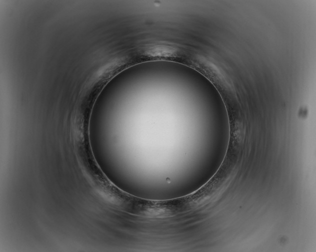 X0000101660547200807101256