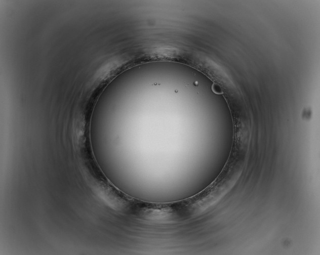 X0000101660548200807101256