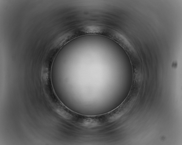 X0000101660549200807101256