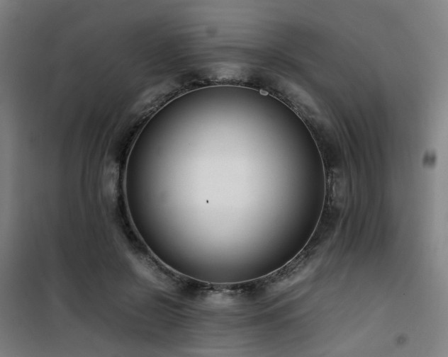 X0000101660550200807101256