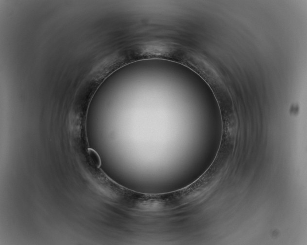 X0000101660551200807101256